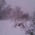 WinterDriveway
