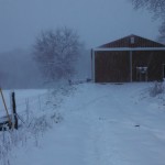 WinterShed