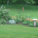 IMG_2742 small