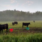 IMG_20160525_203628540_HDR