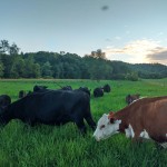 IMG_20160708_201314670_HDR
