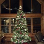 2016tree